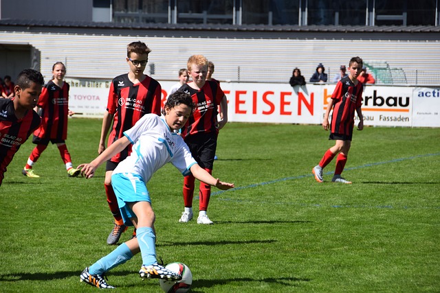 供了信息和 供了信息和