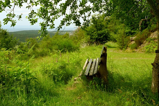受灾地区迅 受灾地区迅