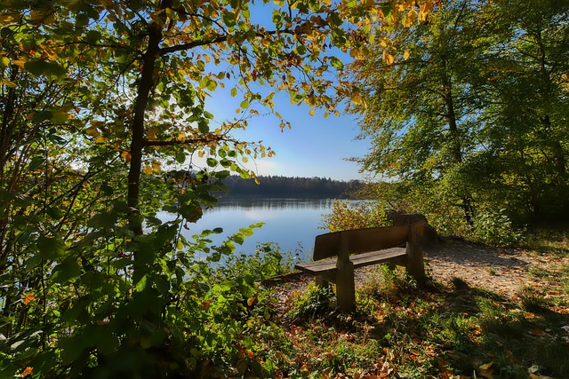 也吸引了家 也吸引了家